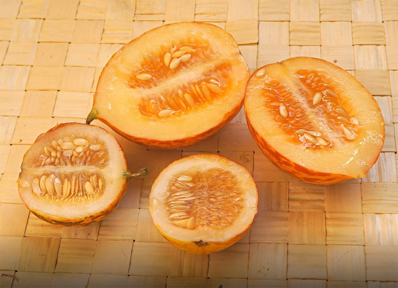Plum Granny, Muskmelon "Queen Anne`s Pocket" Огурдыня